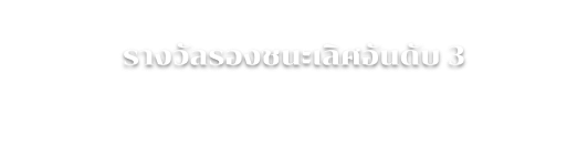รางวัลรองชนะเลิศอันดับ 3